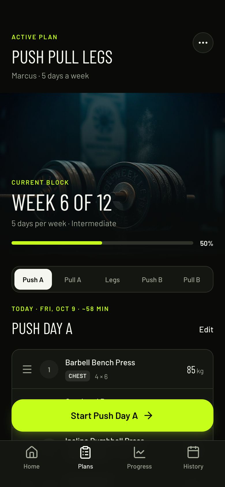 IronLog Push Pull Legs Plan screen